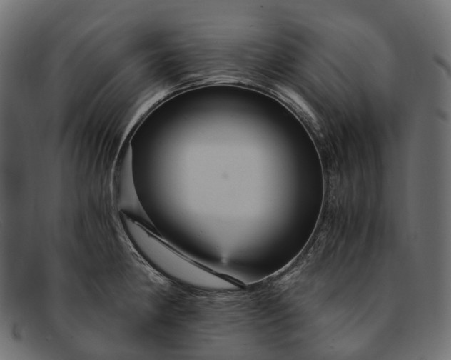 X0000091901190200709191231