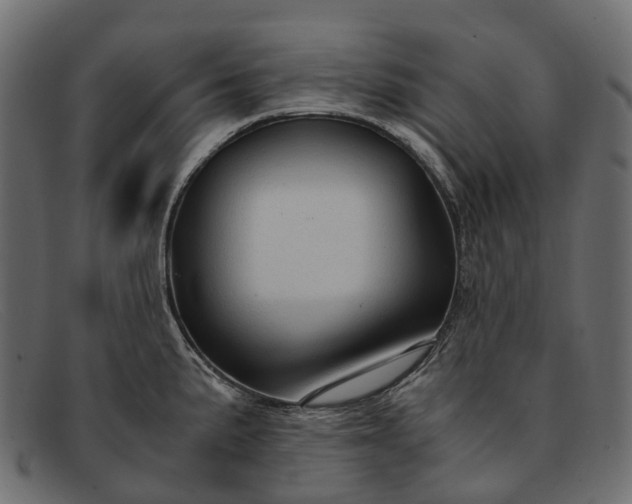 X0000091901191200709191231