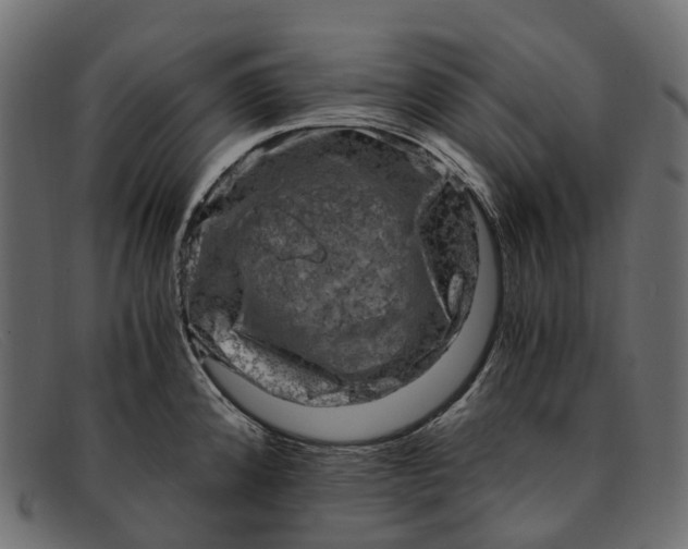 X0000091901192200709191231