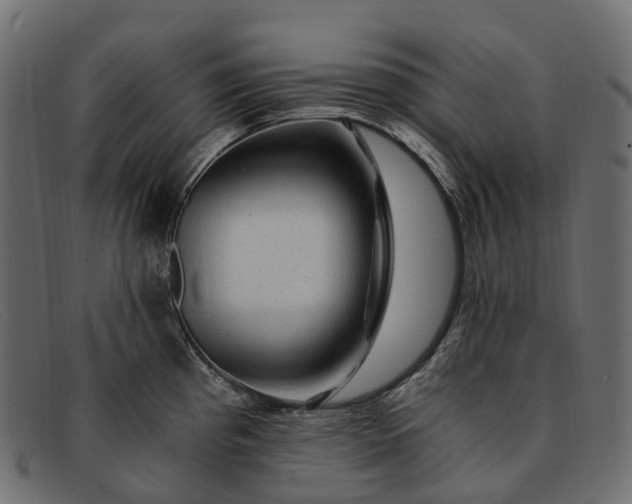 X0000091901193200709191231