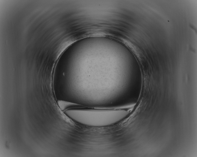 X0000091901194200709191231