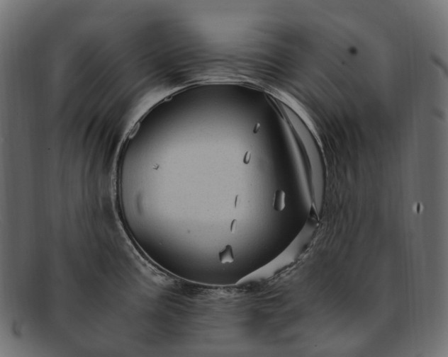 X0000091901195200709191231