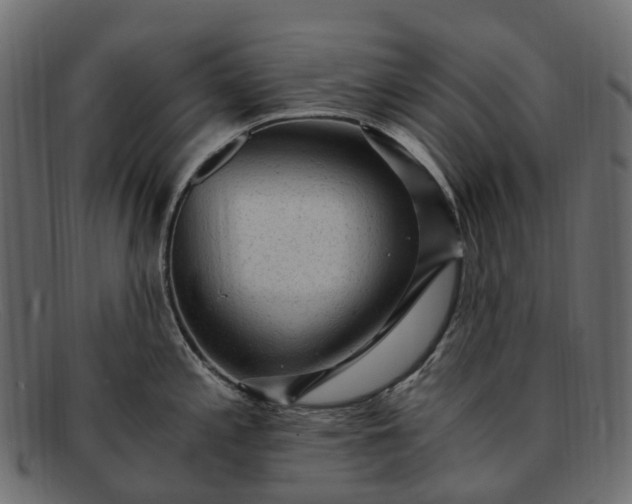 X0000091901197200709191231