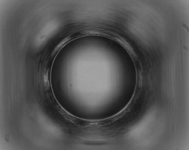 X0000091901198200709191231