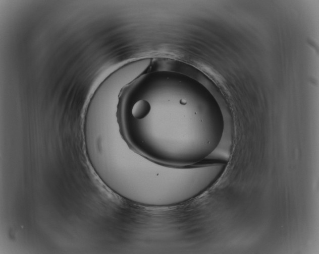 X0000091901200200709191231