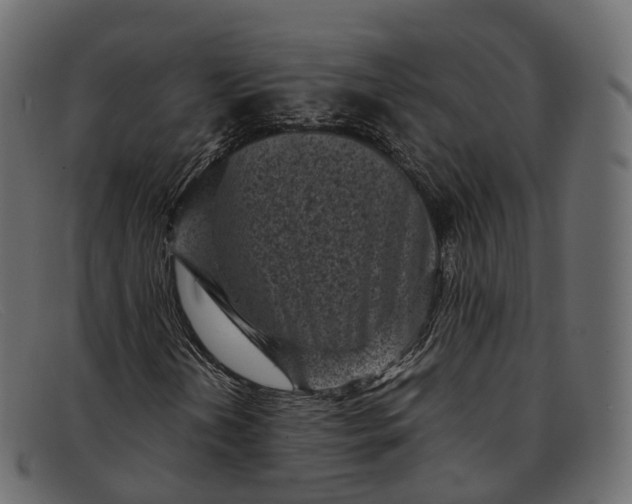 X0000091901202200709191230