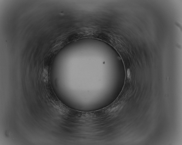 X0000091901203200709191230