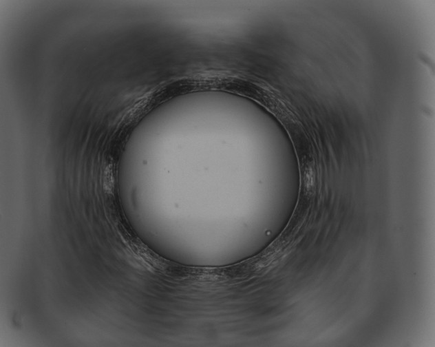 X0000091901204200709191230