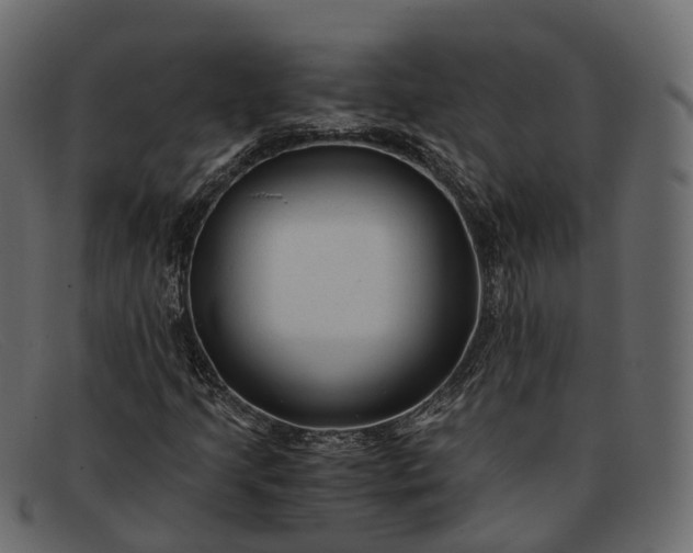 X0000091901205200709191230