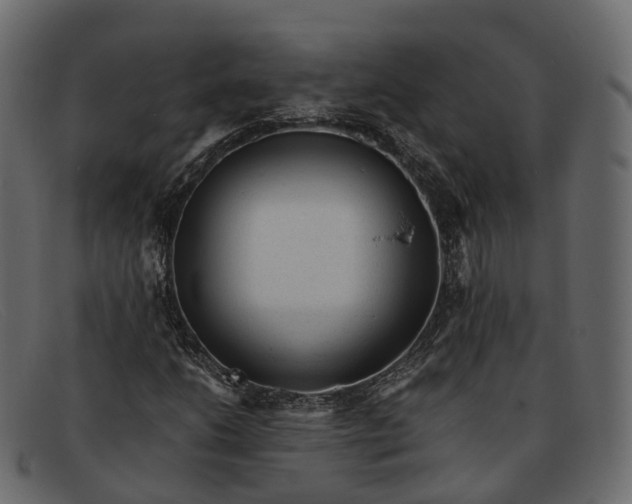 X0000091901206200709191230