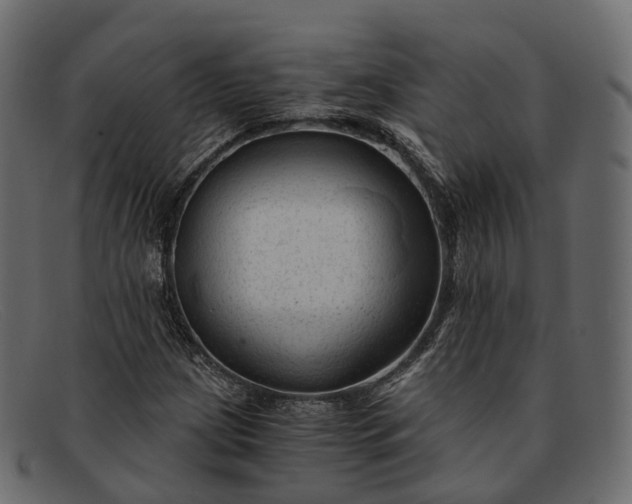 X0000091901209200709191230