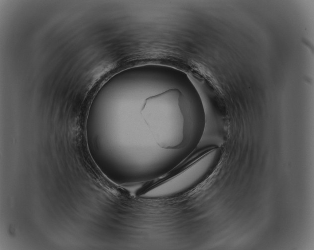 X0000091901210200709191230