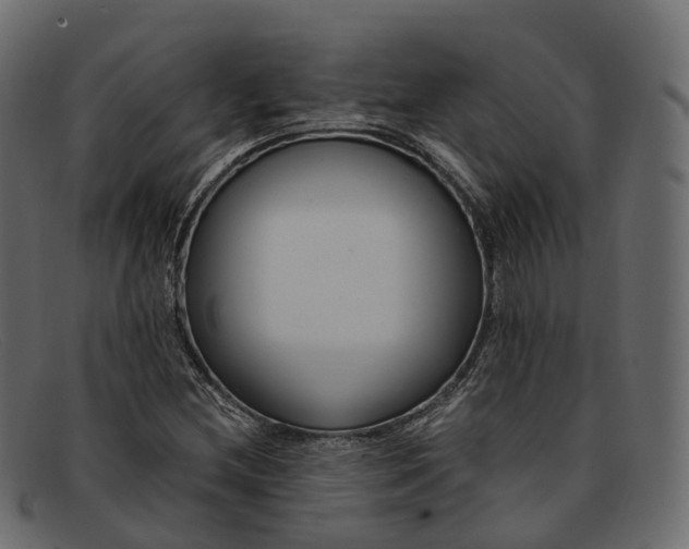 X0000091901212200709191230