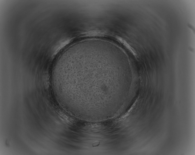 X0000091901213200709191230