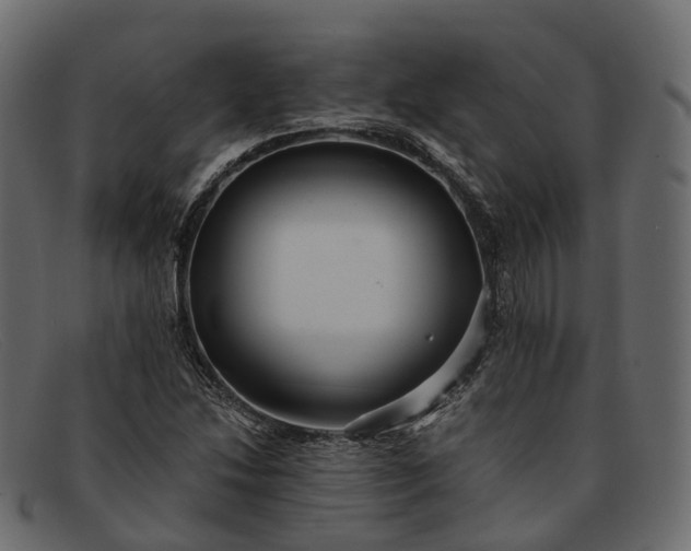 X0000091901214200709191230