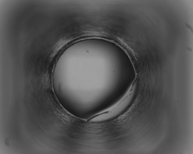 X0000091901215200709191230