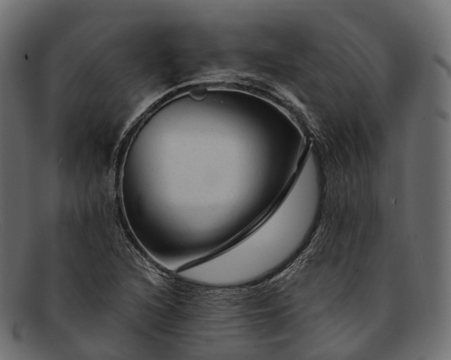 X0000091901216200709191230