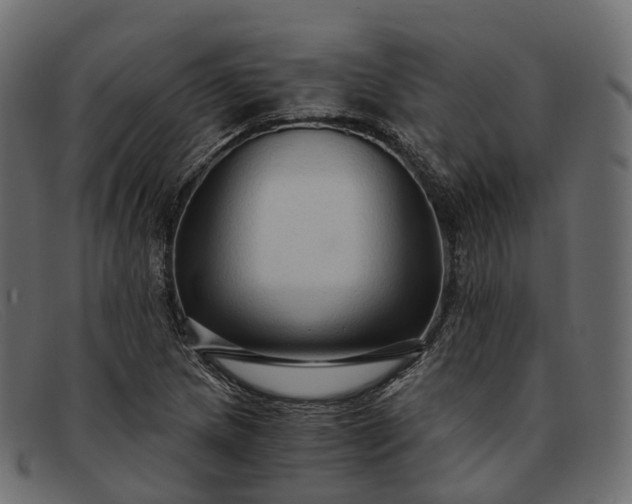 X0000091901217200709191230