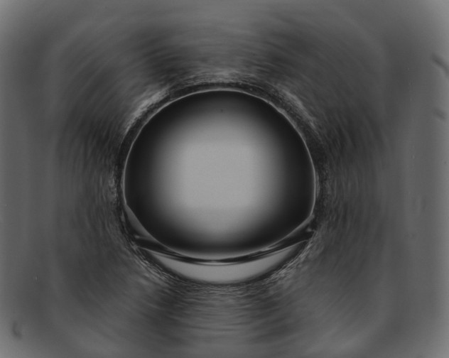 X0000091901218200709191230