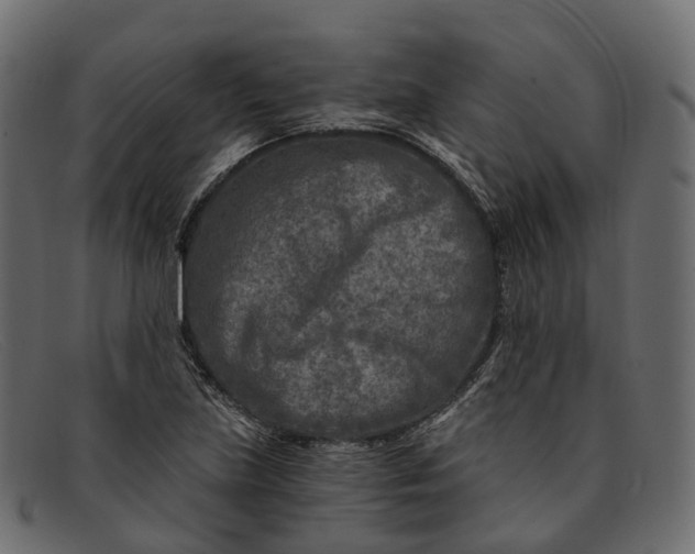 X0000091901219200709191230