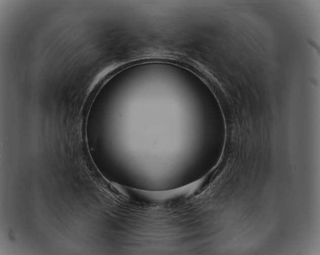 X0000091901222200709191230