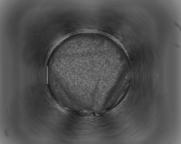 X0000091901223200709191230