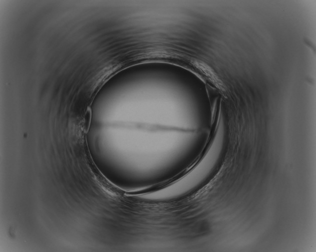 X0000091901225200709191230