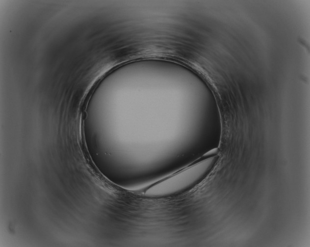 X0000091901227200709191230