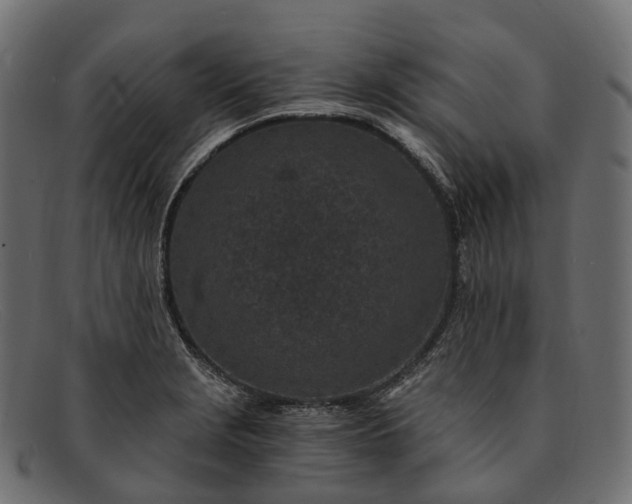 X0000091901229200709191230