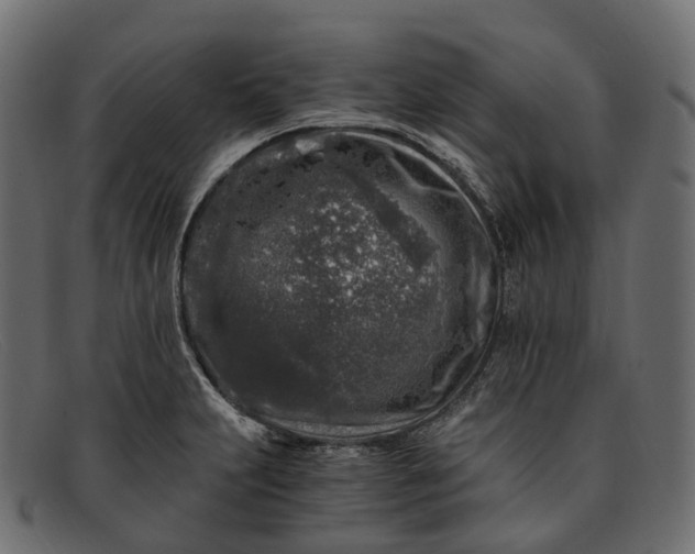 X0000091901231200709191230