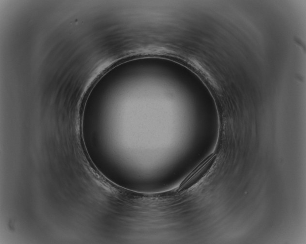 X0000091901232200709191230