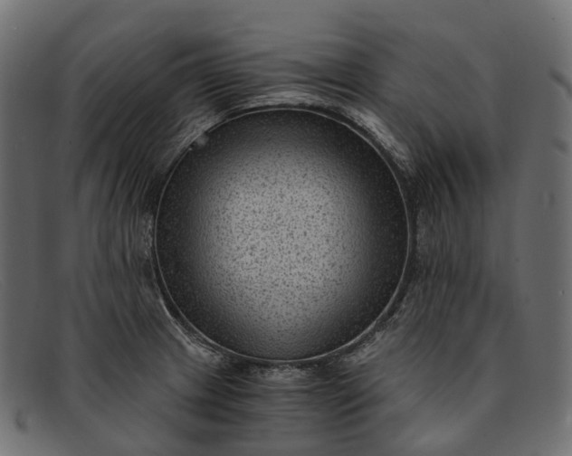 X0000091901233200709191230