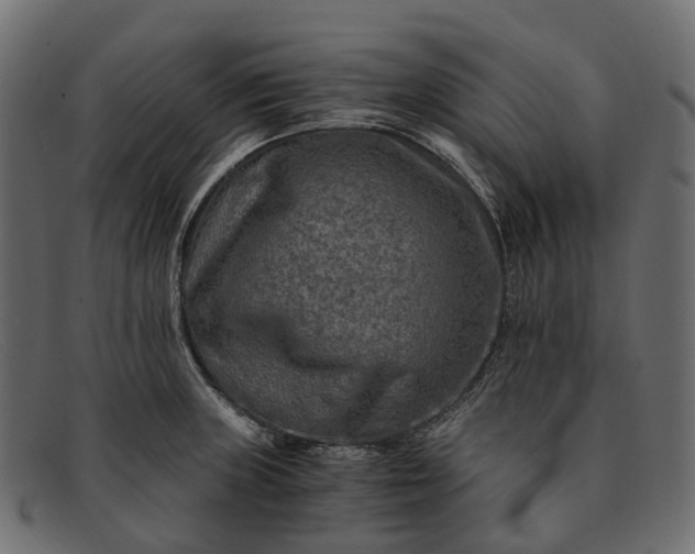 X0000091901235200709191231