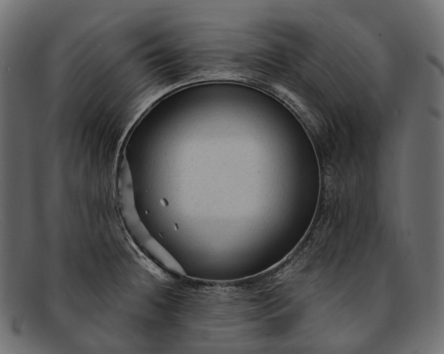 X0000091901236200709191231