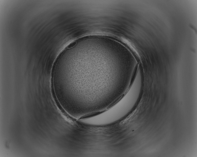 X0000091901237200709191231