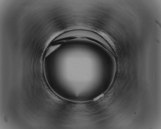 X0000091901238200709191231