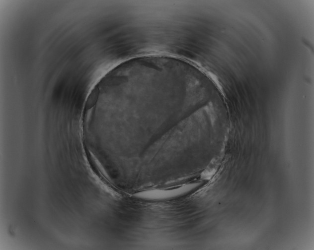 X0000091901239200709191231