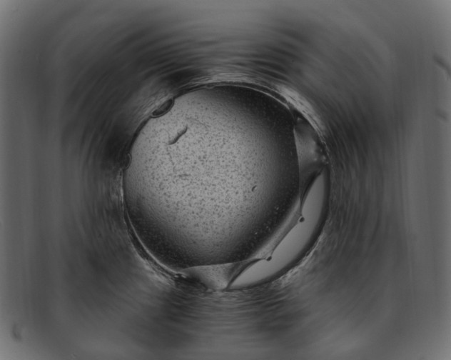 X0000091901241200709191231