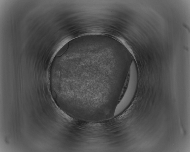 X0000091901243200709191231