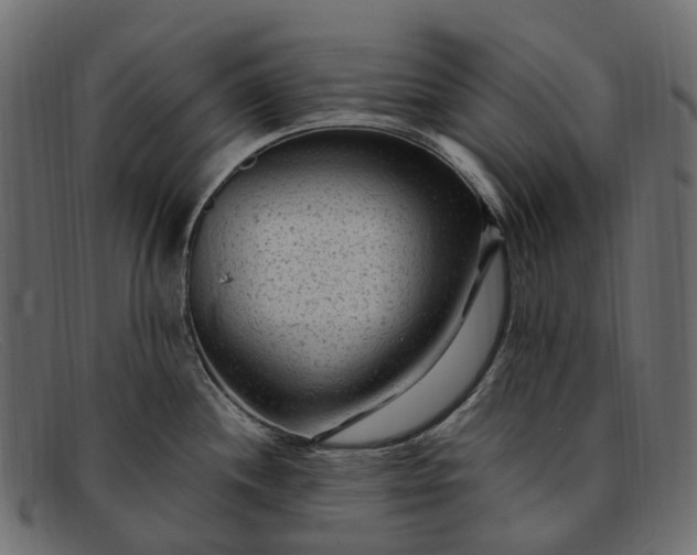 X0000091901244200709191231