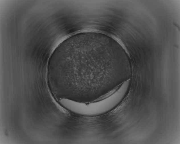 X0000091901245200709191231