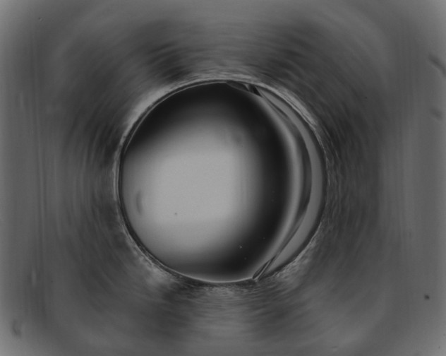 X0000091901246200709191231