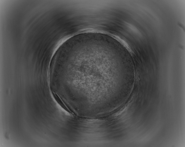 X0000091901247200709191231