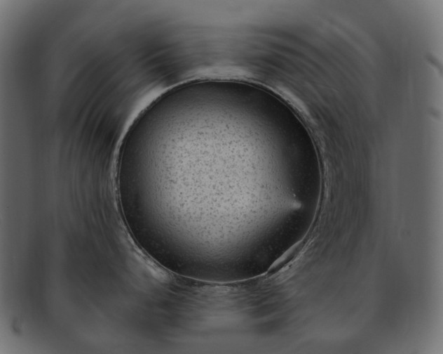 X0000091901248200709191231