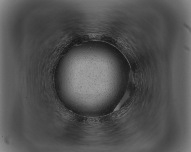 X0000091901249200709191230