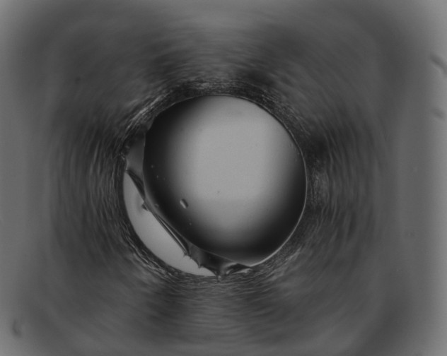 X0000091901250200709191230