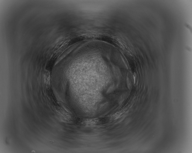 X0000091901251200709191230