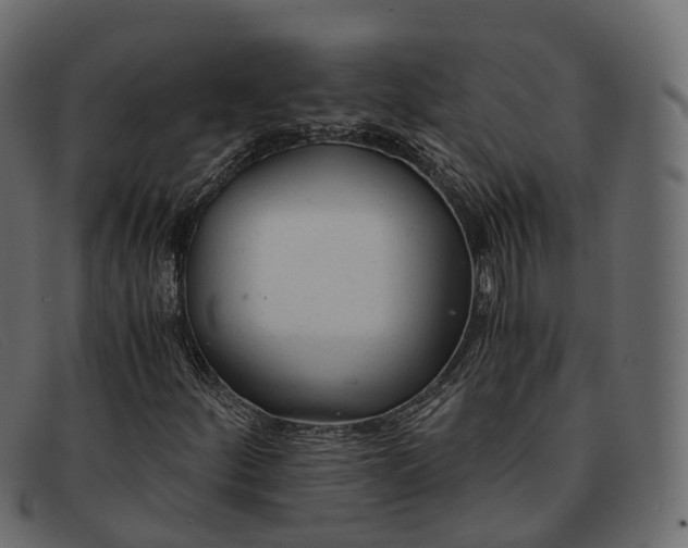 X0000091901252200709191230