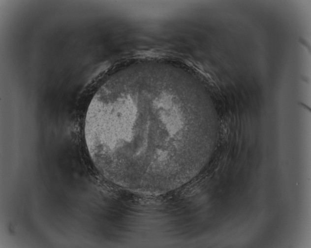 X0000091901254200709191230