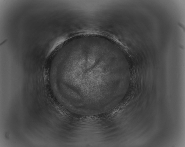 X0000091901255200709191230